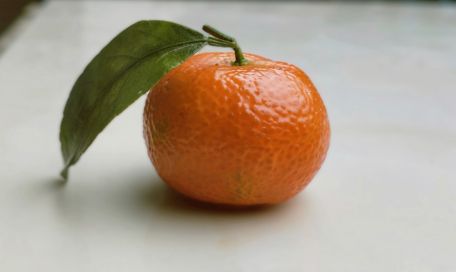 修罗橘子壁纸图片