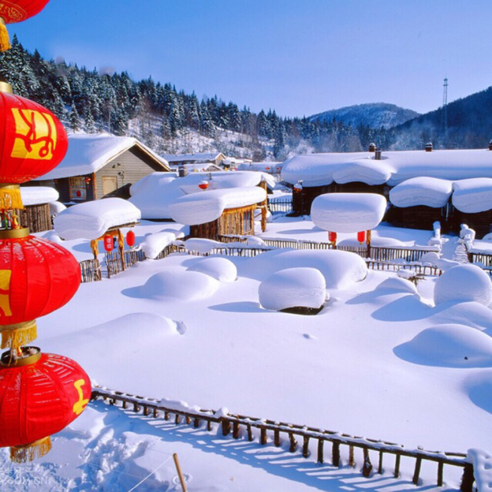 皮蛋|哈尔滨长白山雪乡