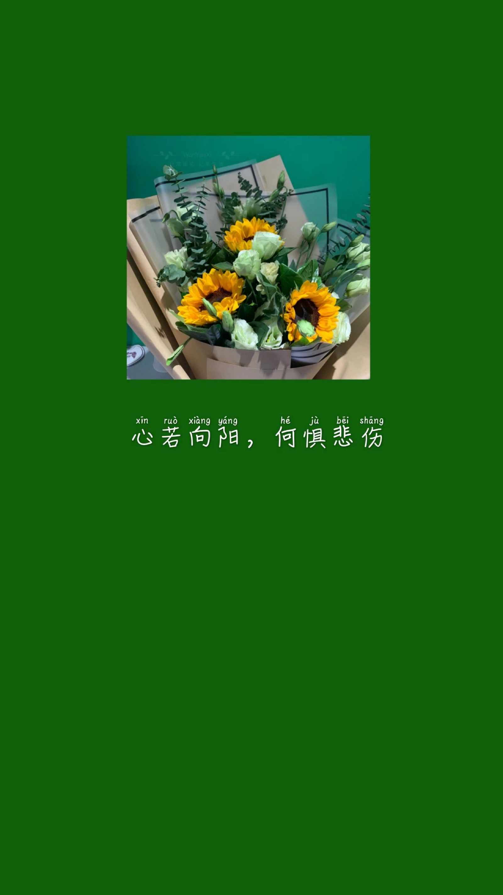 苹果13绿色墙纸图片