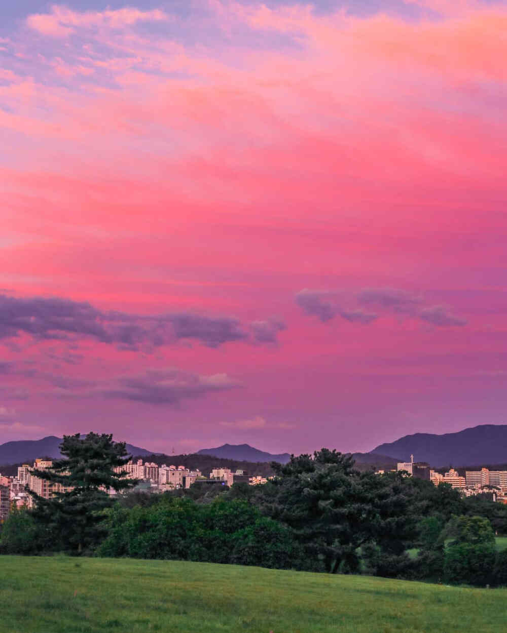 夜景/夕阳/紫色天空/城市/白云/玫瑰/静谧/晚安月亮/手控/背景图