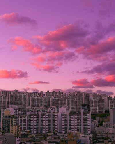 夜景/夕阳/紫色天空/城市/白云/玫瑰/静谧/晚安月亮/手控/背景图