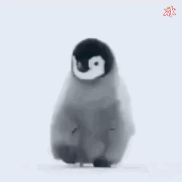 企鹅西内捅刀表情包图片