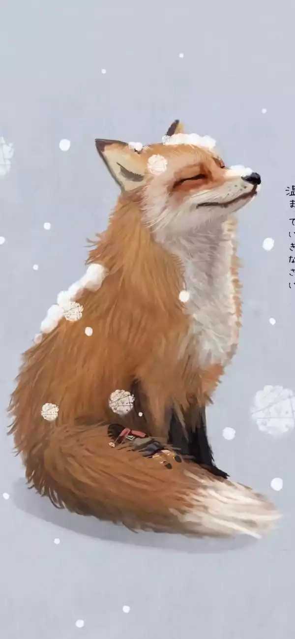 萌宠 壁纸