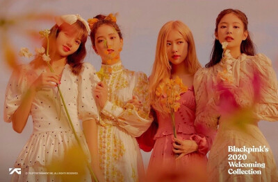 [blackpink - blackpink"s 2020 welcoming collection preview image