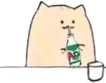永动猫摇饮料表情包图片