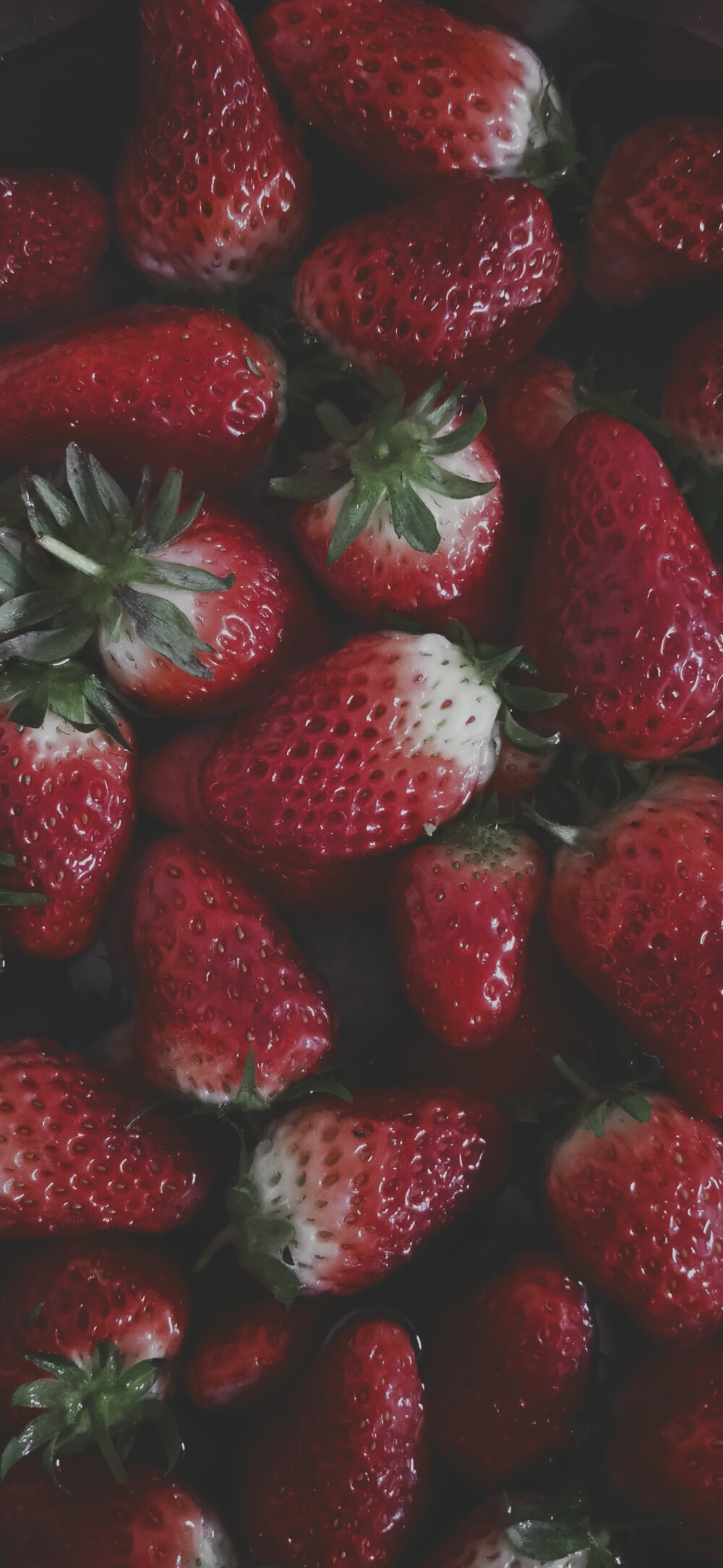 自己拍的草莓有全屏,有正方形的