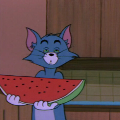 tom猫猫和杰瑞