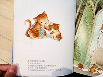 笑猫日记插图壁纸图片