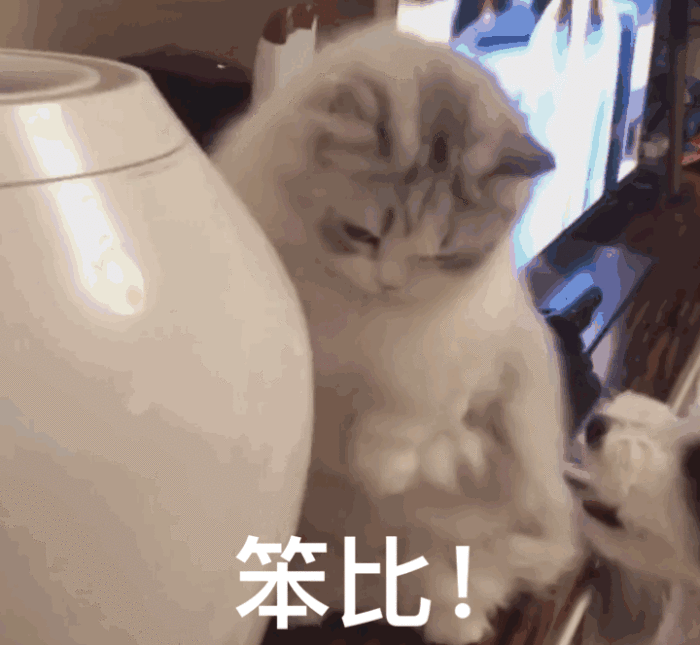 笨比!
