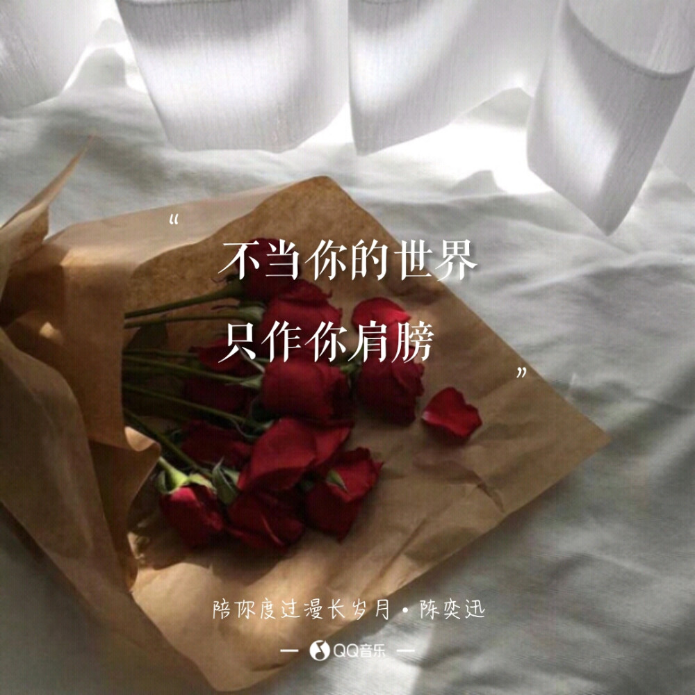 陈奕迅《陪你度过漫长岁月》歌词 语录 文字 壁纸 锁屏键盘 原创 极简