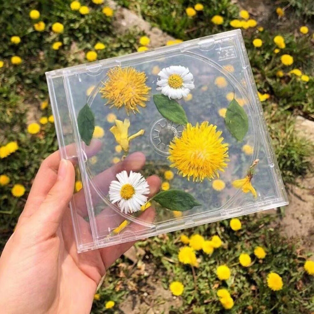 向日葵雏菊金黄色系