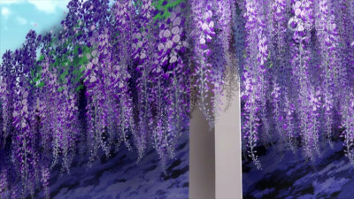 小花仙紫藤图片