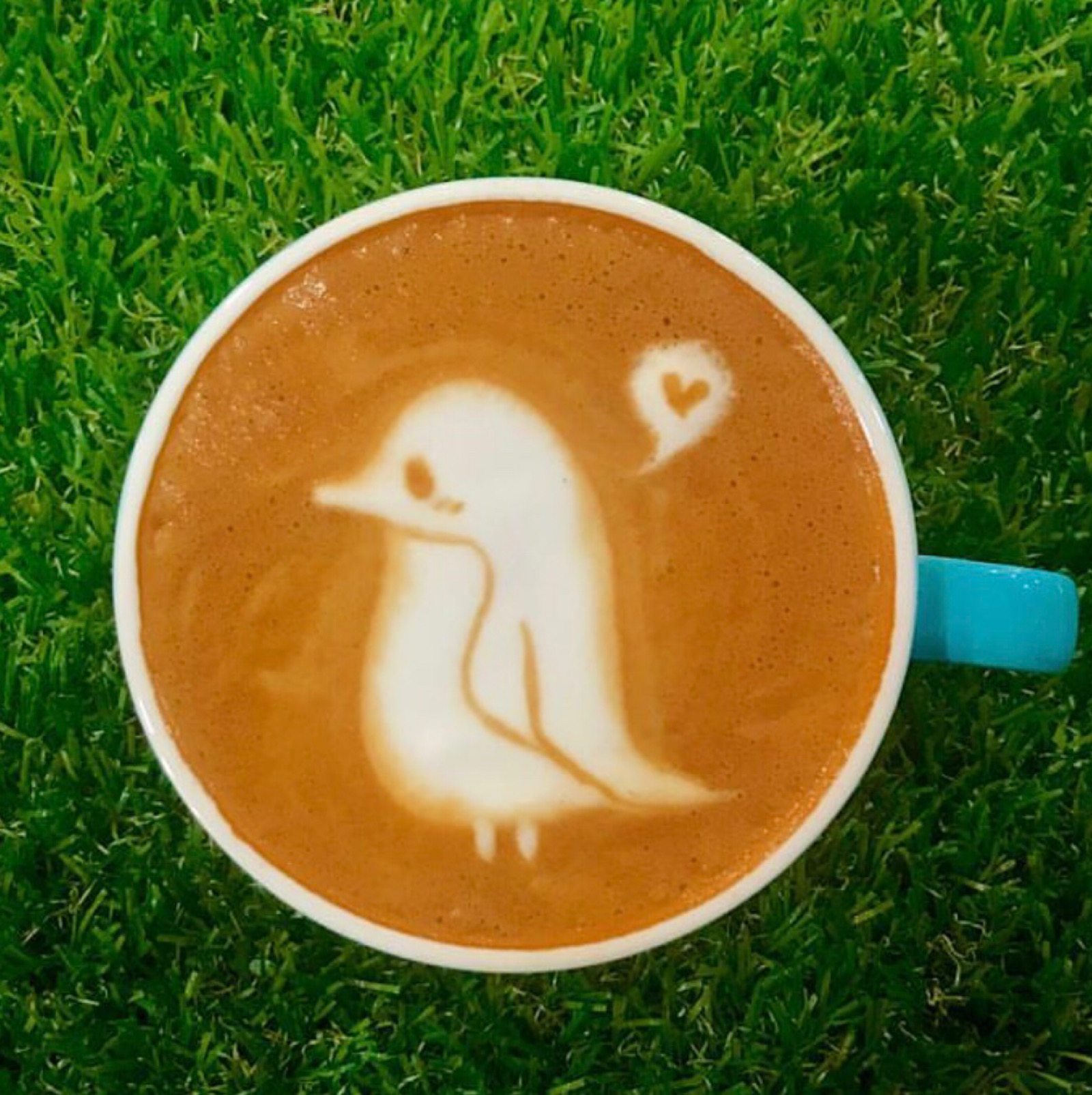 可爱动物の咖啡拉花