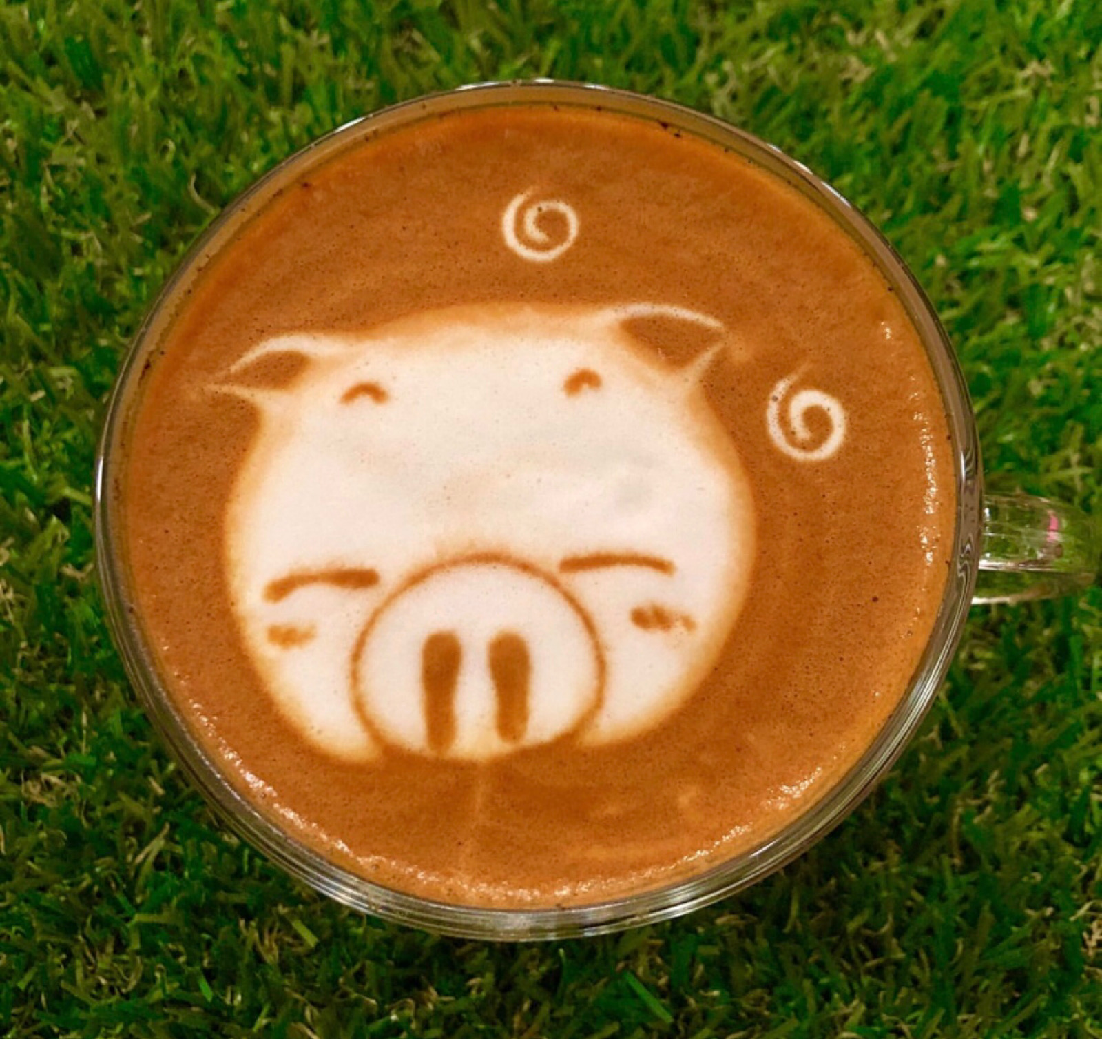 可爱动物の咖啡拉花