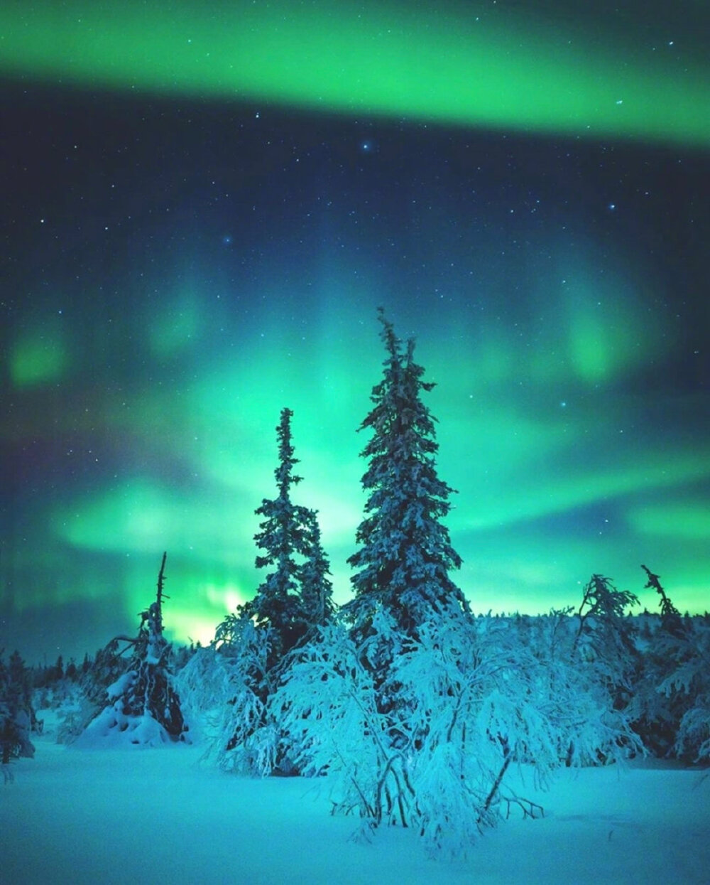 北极的极光,好久没见了吧