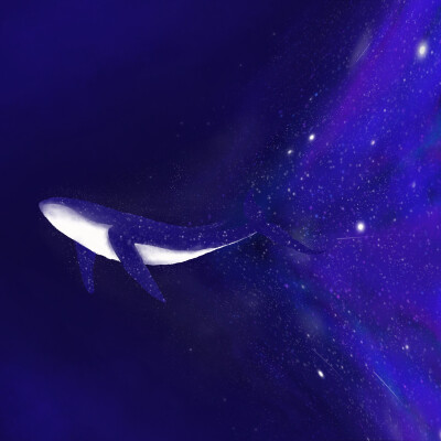 星空鲸鱼头像 马克笔图片