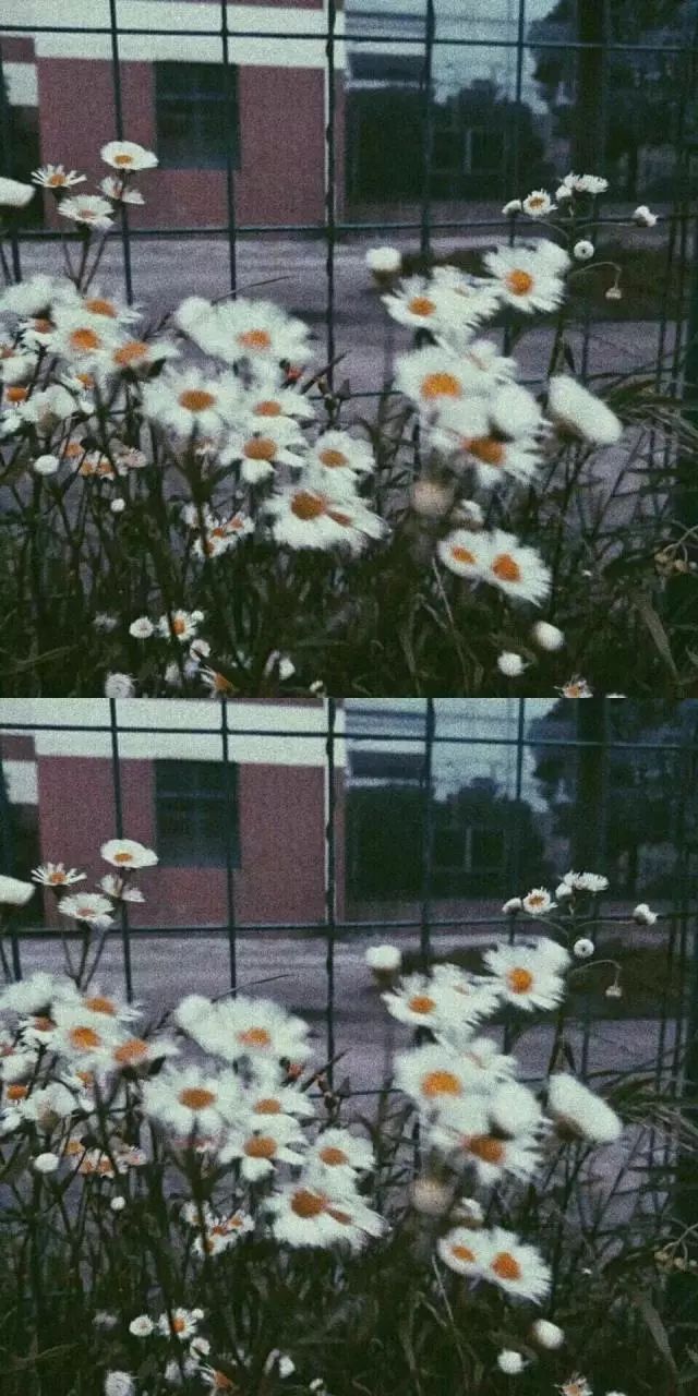 惟愿平安顺遂,安好无虞.