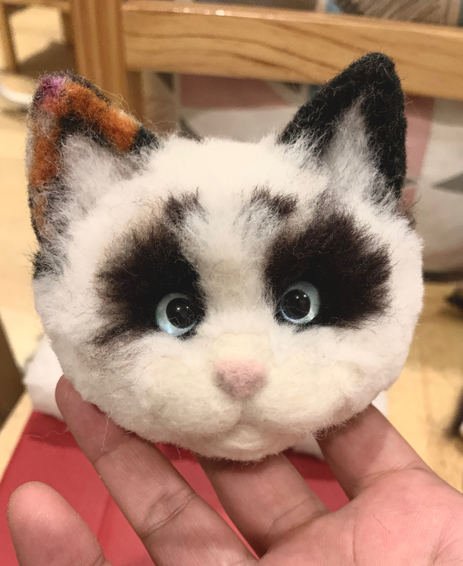 第二个羊毛毡:三花布偶猫