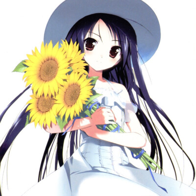 加速世界黑雪姬