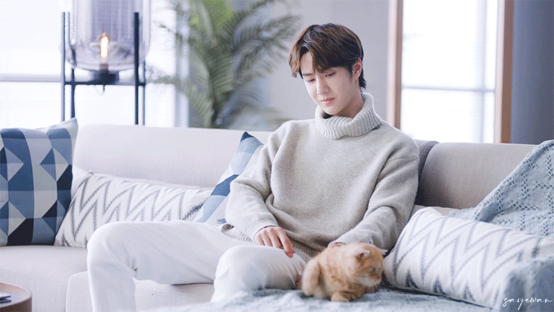 尤妮佳舒蔻宣传片截修uniq王一博少年与猫cr撒野湾