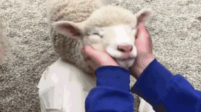 小羊一跳一个表情gif图片