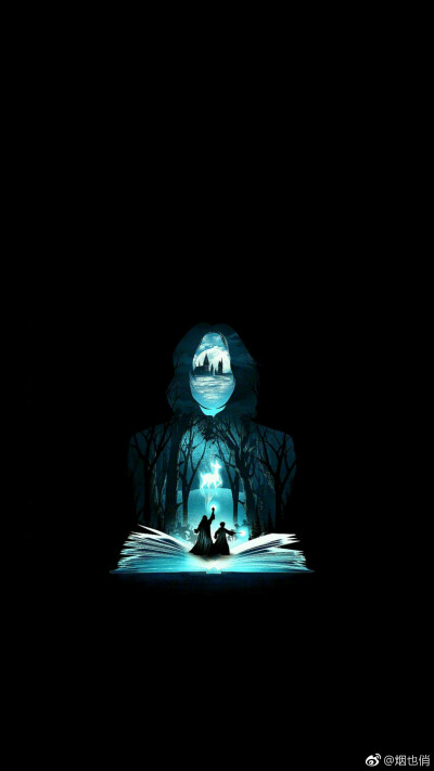 哈利波特密室 凤凰社 混血王子 死亡圣器 神奇动物在哪里壁纸