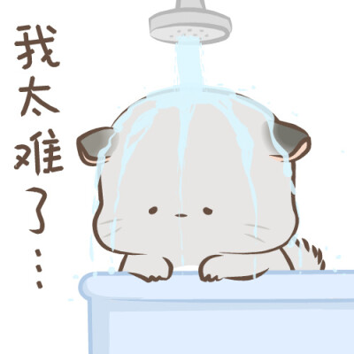 四毛表情包