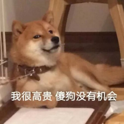 [欧美范][表情包][搞怪]
