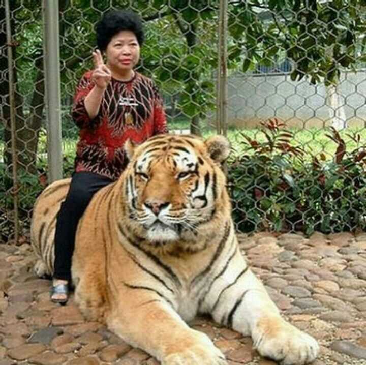 沙雕头像