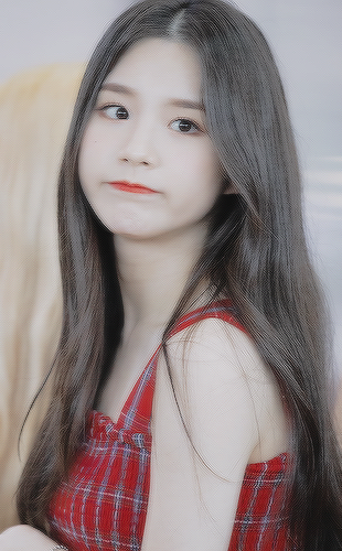 田姬振简介