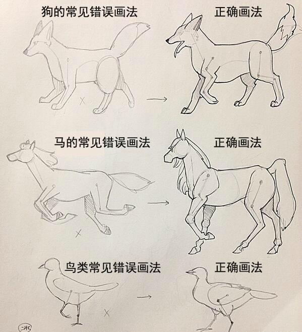 动物动作怎么画图片