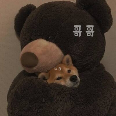 弱小可怜又无助