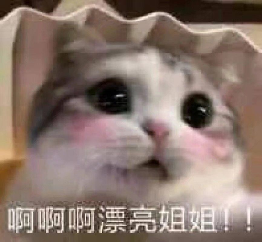 猫咪表情包 可爱 沙雕 - 堆糖,美图壁纸兴趣社区