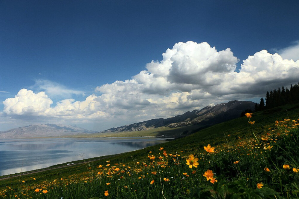 新疆美图风景图片图片