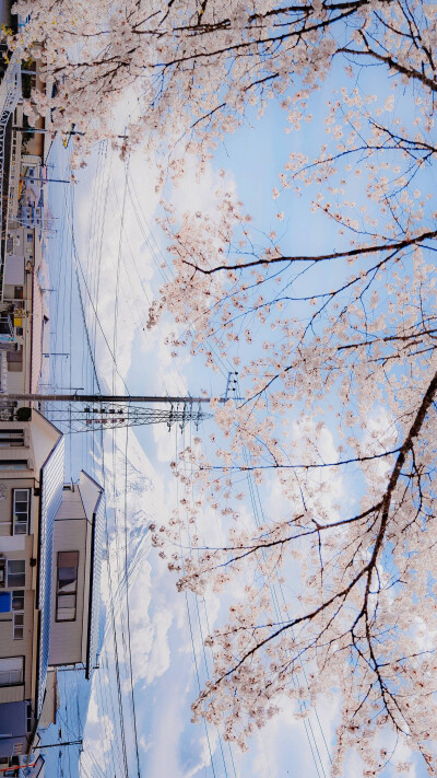人间四月芳菲尽