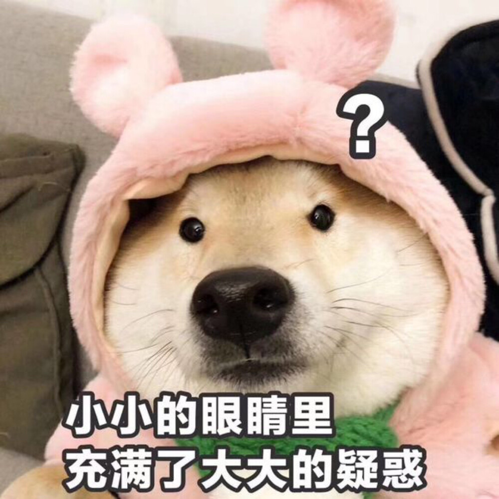 一起可爱一起沙雕叭～ - 堆糖,美图壁纸兴趣社区