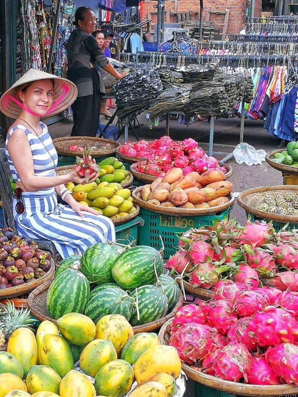越南水果大全图解图片