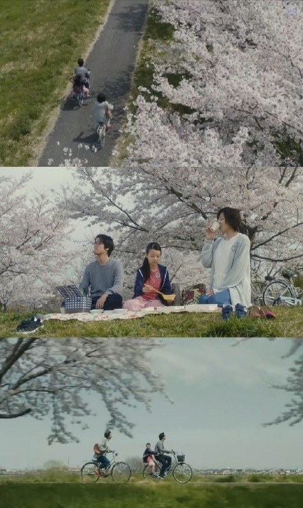 分享九部与春天有关的日本电影 寒冬过后,一起赏樱花