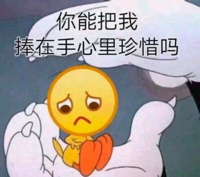 可爱鬼专属表情包