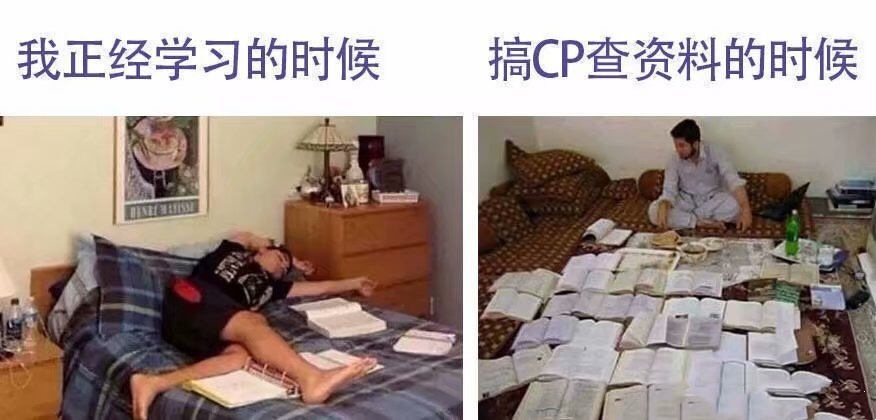 上网查资料表情包图片图片