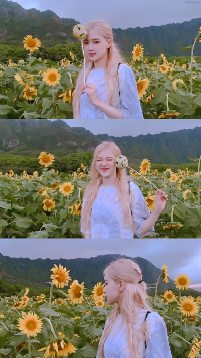 壁纸头像 | blackpink 澳洲野玫瑰rosé