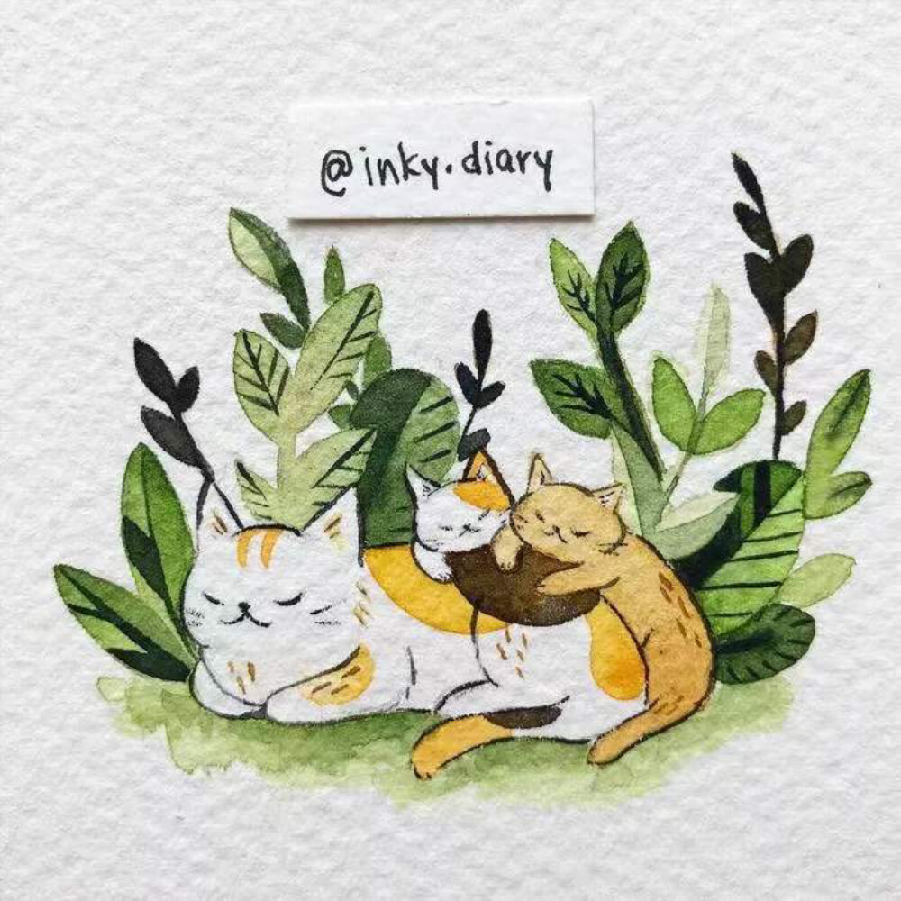 插画师:inky.diary