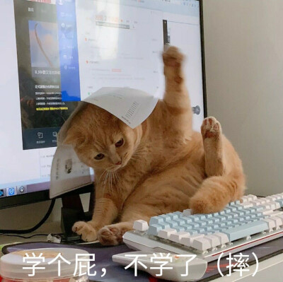开学了表情