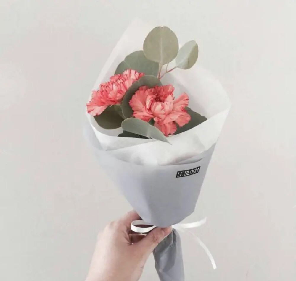 康乃馨小型花束