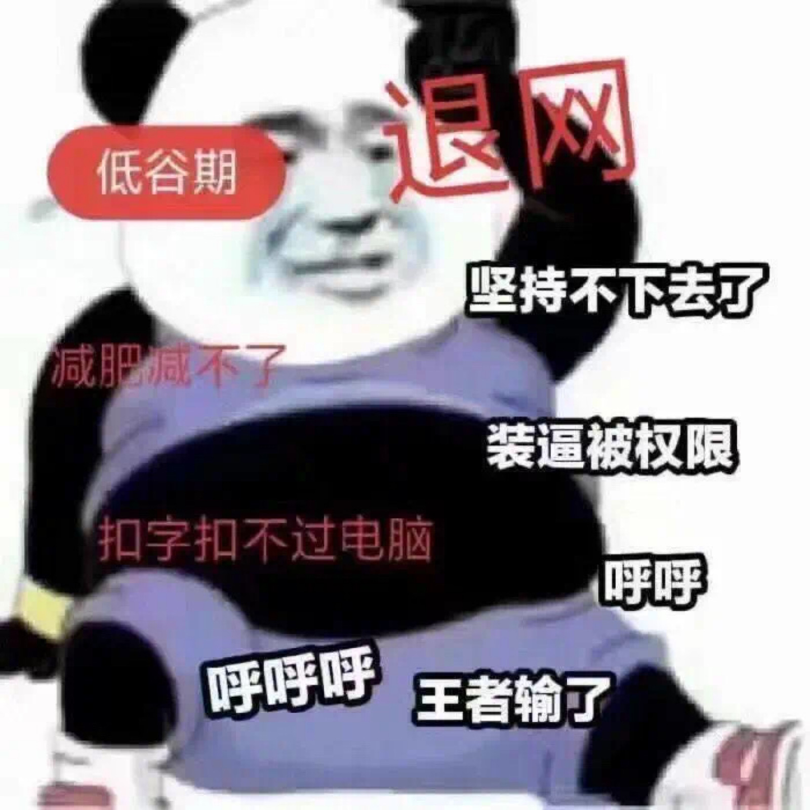 网课表情包