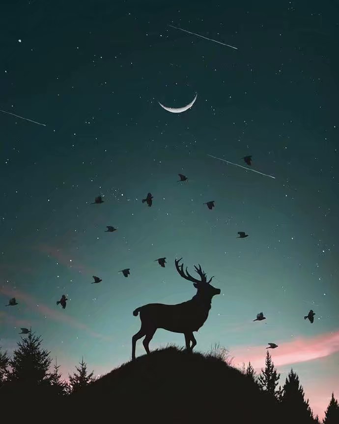 星空月亮 - 堆糖,美图壁纸兴趣社区