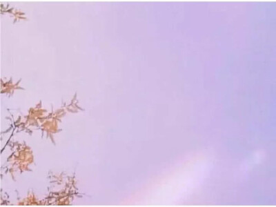 qq 背景图/封面