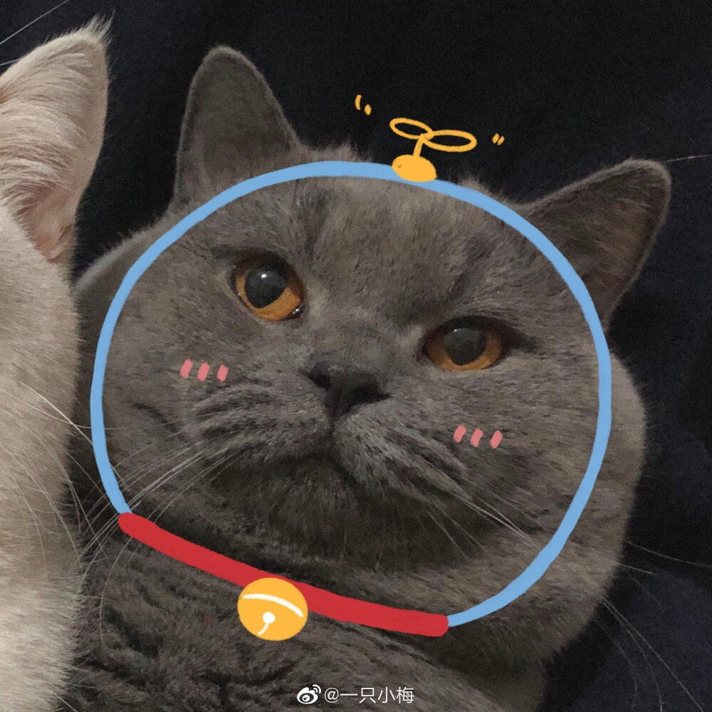 情侣头像 cr 一只小梅