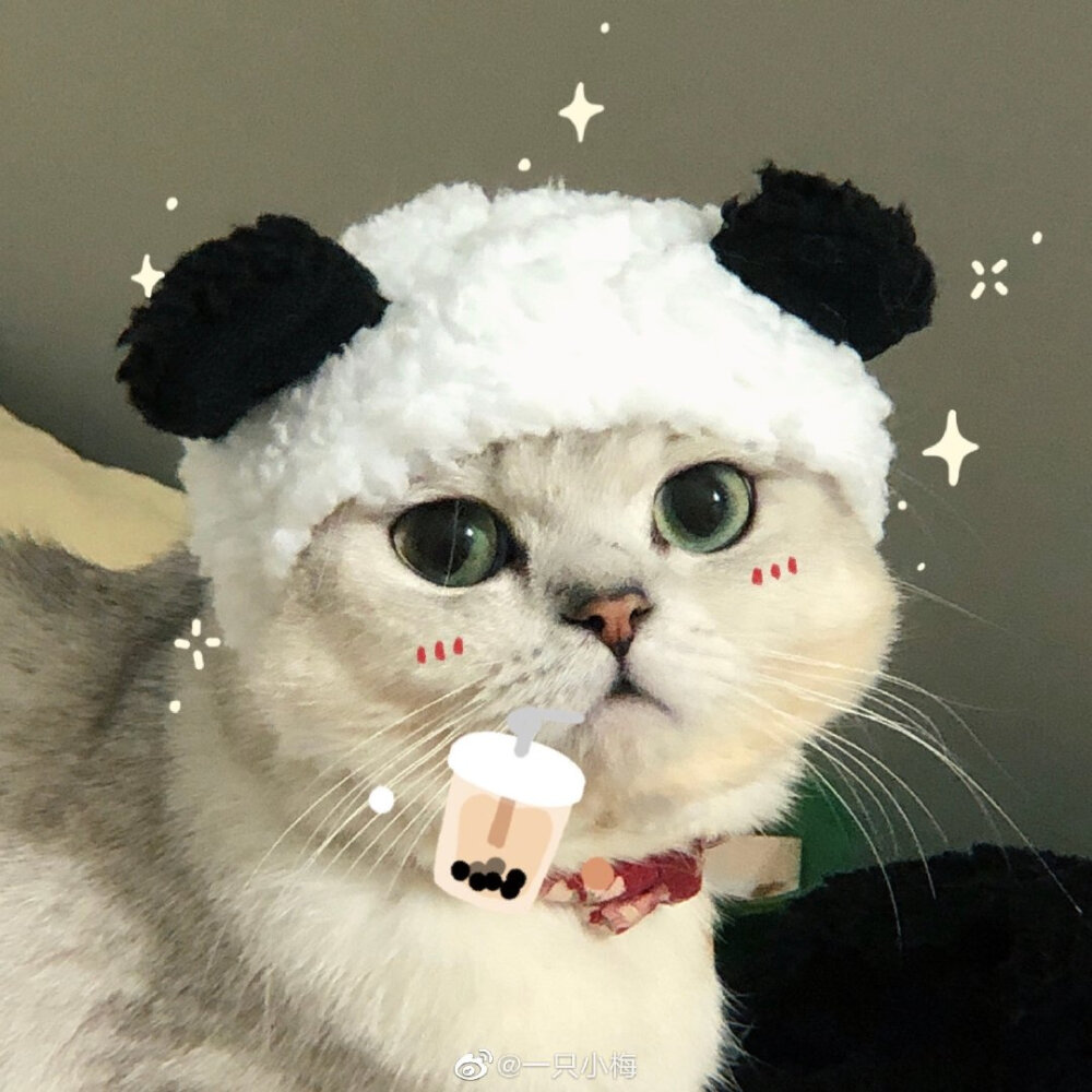 情侣头像 cr 一只小梅