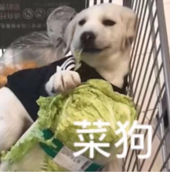 沙雕表情包玉米超可爱的